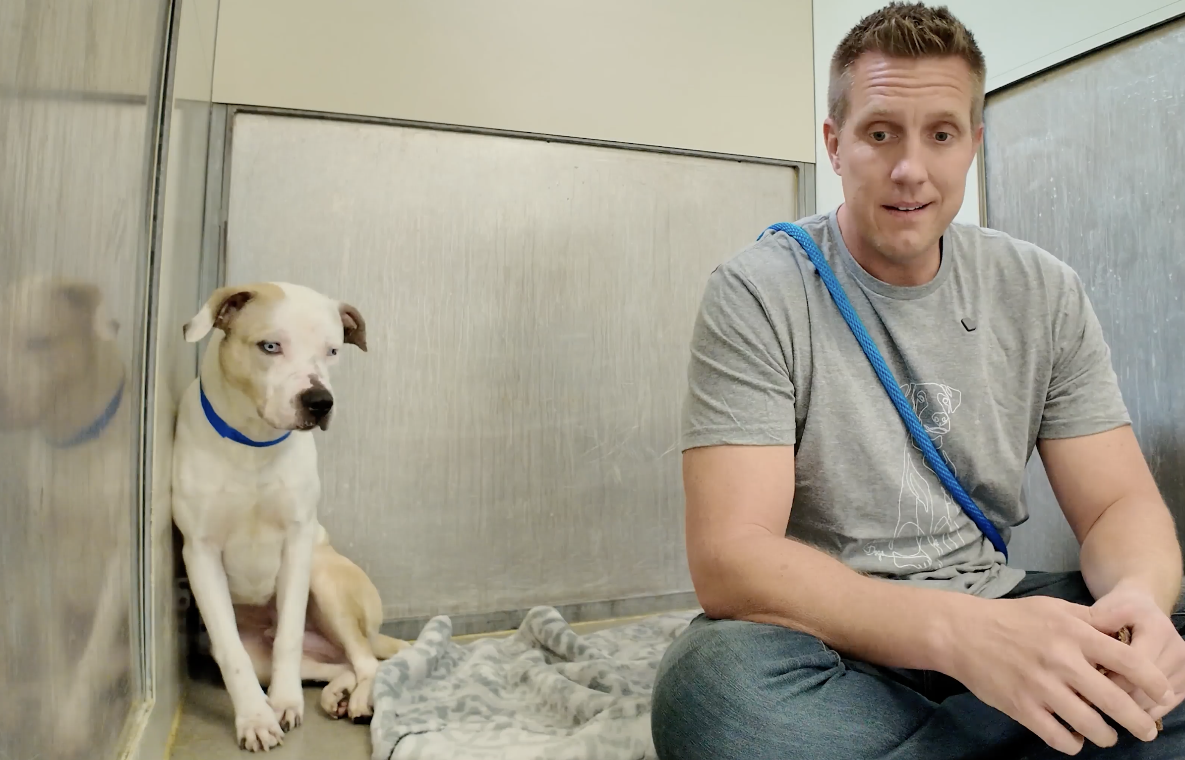 Sitting with dogs 84
